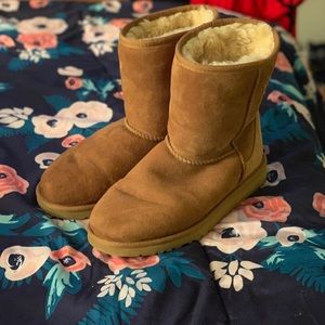 UGG Classic Short “Chestnut”